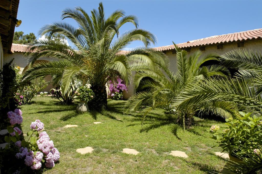 Hotel Pineto Biguglia  Oda fotoğraf